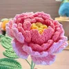 wyn_wyn154