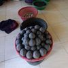 putrakugu