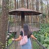 viiaalina