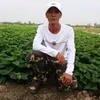 khanhduyvo37