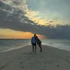 lollitoos