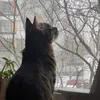 _sylvie_111