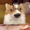 tunamen7