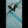 dy75lrenglnf