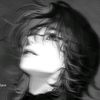 zan_fexly