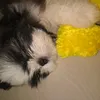 babyroko2