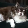 useriwiqkjpid7