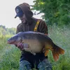 trakker_auvergnat