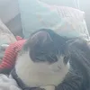 cathsammy1