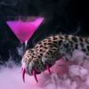 pinkevio