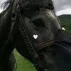 qita_18