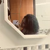 mellsantsx_