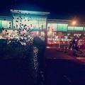 elvis_soide