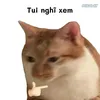 haukhanhgia