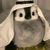 ninoyye