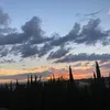 moroccan_na