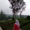 mamareynan
