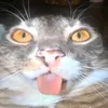 riky_o.o