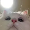 .nhuw_yie4