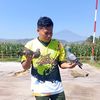 junedmerpati