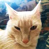 mikits95