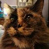 rubykatt678