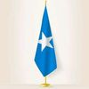 mohamed_binu_muhiadin