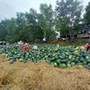 khangfarm.vn