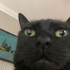 jessie_ga