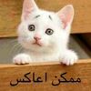 user2509495914031