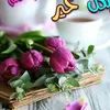 user6056061443576