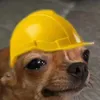 🏎️💥