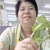thiphuongvo599