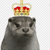 otter_king69