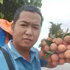 anhbeobg98