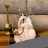 yusif_webas