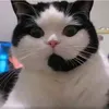 shijnnn1