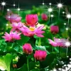 tuyduyen2022bdth