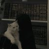 shimaashehab03