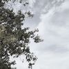 muhannadalqahtani042