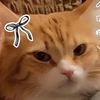 mememohammad9507