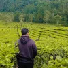 yogi9018