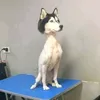 astropicgtm