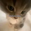 fdseed