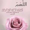 norahaldossary37