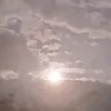 artistdarkangel