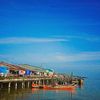 doel74_1