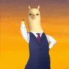 키다리아저씨🦙Kevin🦙