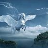 user6007197350650