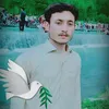 haroonafridi3061